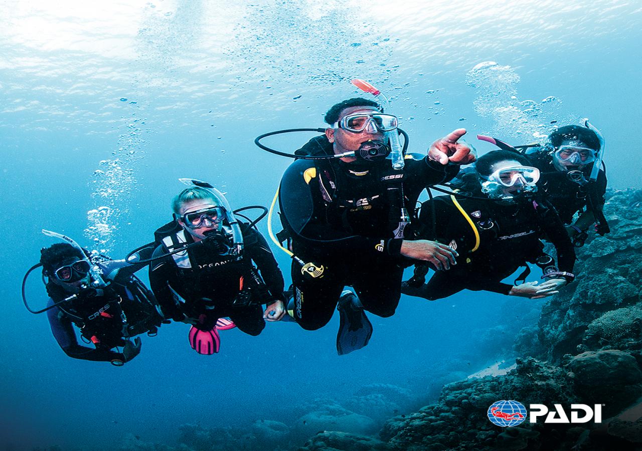 PADI Divemaster  Dalgıçlıktan Liderliğe Giden Yol
