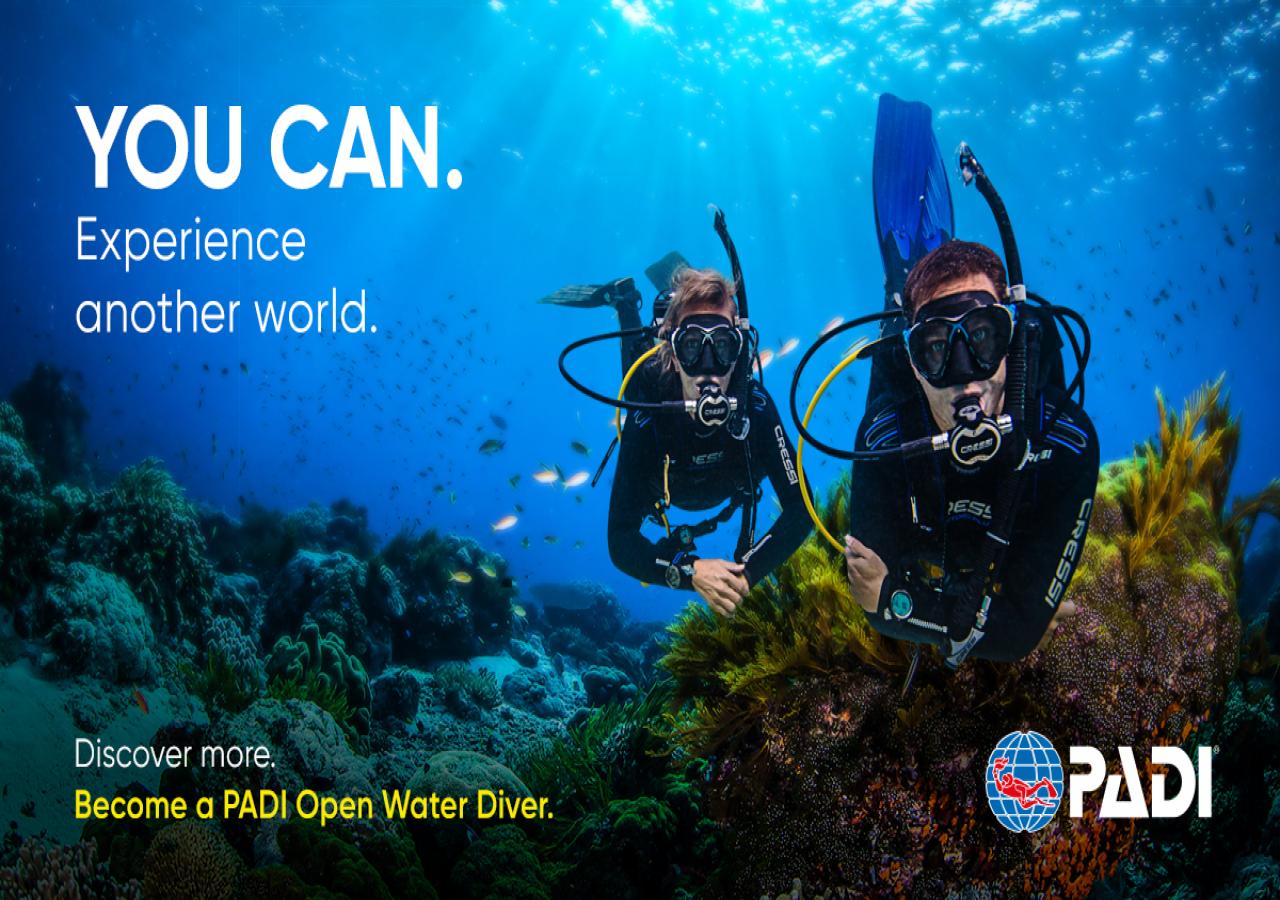 PADI OPEN WATER DALIŞ SERTİFİKASI